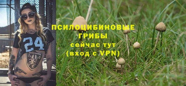 гашиш Арсеньев