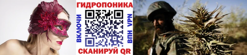 Канабис MAZAR  Красный Кут 